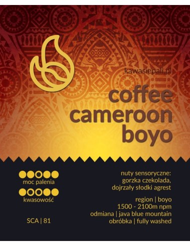 Kawa Cameroon Boyo