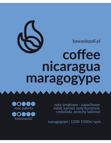 Kawa Nicaragua Maragogype