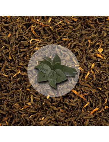 Herbata Czarna Assam TGFOP