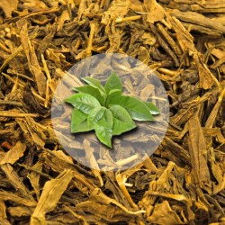 Herbata Zielona China Sencha