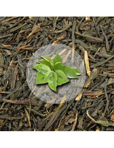 Herbata Zielona Japan Sencha