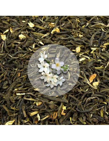 Herbata Zielona Jaśminowa