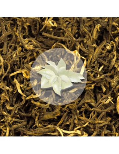 Herbata Biała Fujian White