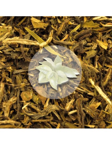 Herbata Biała Pai Mu Tan