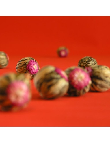 Herbata Biała Truskawka Lichee /1szt