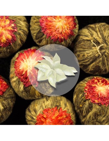 Herbata Biała Truskawka Lichee /1szt