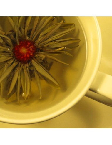 Herbata Biała Truskawka Lichee /1szt