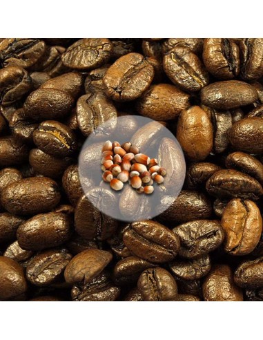 Kawa Arabica Krem Orzechowy