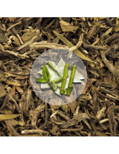 Herbata Biała Pai Mu Tan Bambus