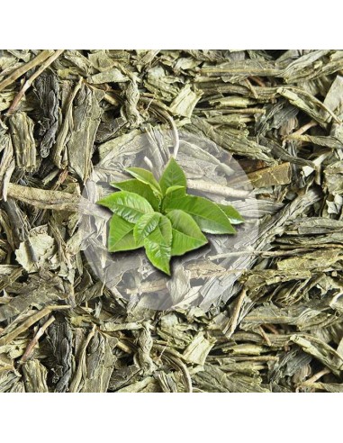 Herbata Zielona Bancha Japan Style