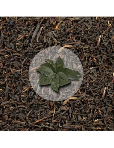 Herbata Czarna Yunnan Semi Gold