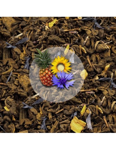 Herbata Zielona Egzotyczna