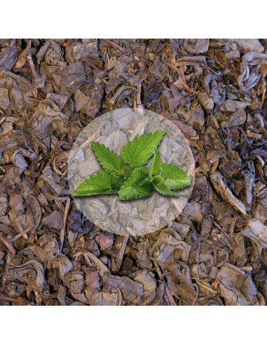 Herbata Zielona Miętowa