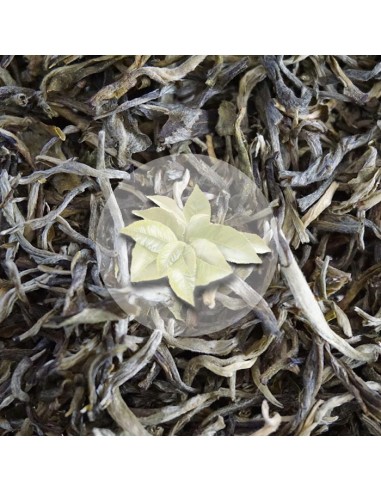 Herbata Biała White Downy