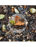 Herbata Czarna Chai Masala