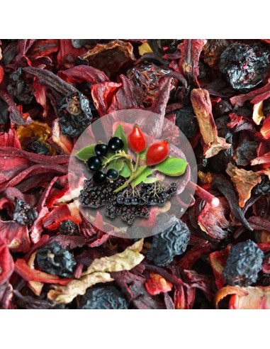 Herbata Owocowa Jagodowy Raj