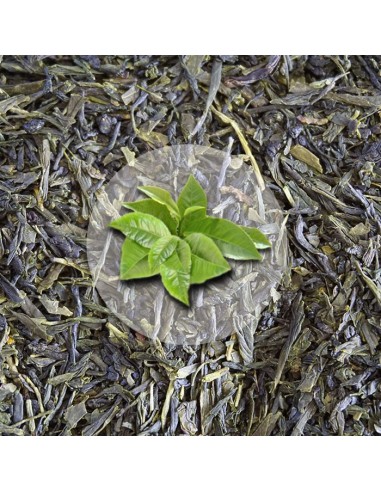 Herbata Zielona Gyokuro Japan Style