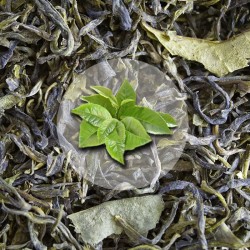Herbata Zielona Nepal Mont Everest