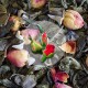 Zielona Herbata Chińska Róża