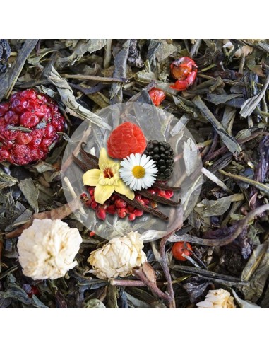 Herbata Zielona Pieśń Smoka