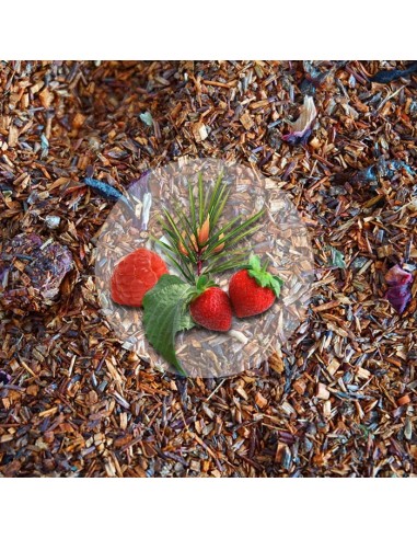 Rooibos Malina Poziomka