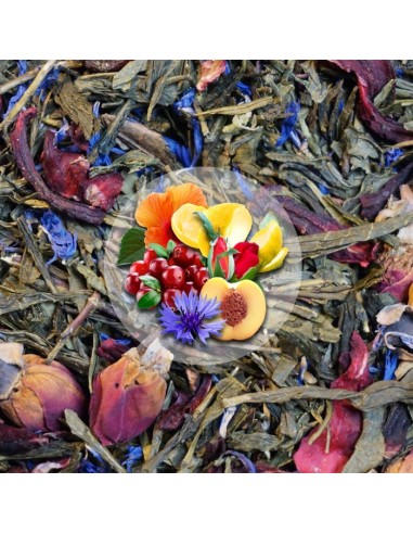 Herbata Zielona Zielona Przystań