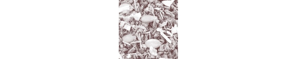 Herbaty Zielone Delicje