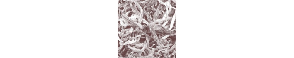 Herbaty Białe Naturalne